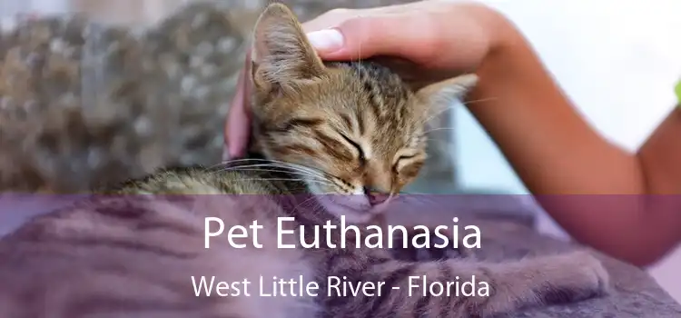 Pet Euthanasia West Little River - Florida
