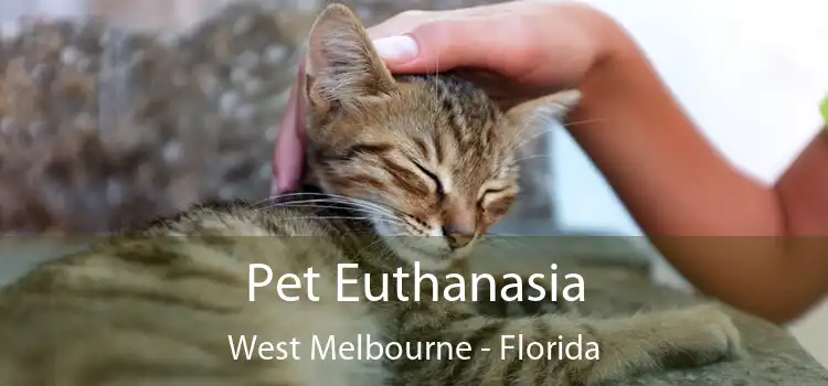 Pet Euthanasia West Melbourne - Florida