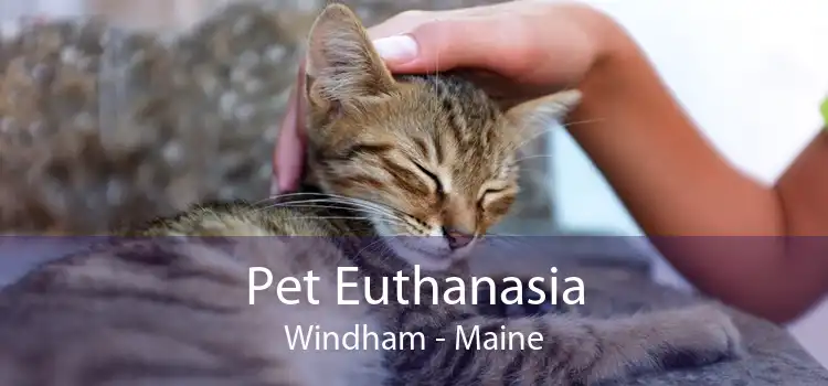 Pet Euthanasia Windham - Maine