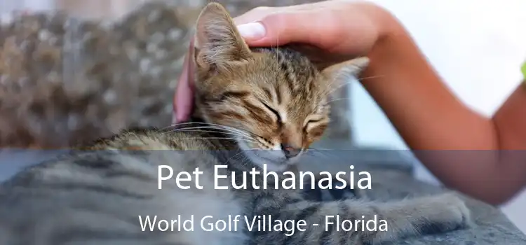 Pet Euthanasia World Golf Village - Florida