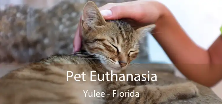 Pet Euthanasia Yulee - Florida