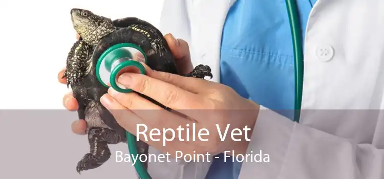 Reptile Vet Bayonet Point - Florida