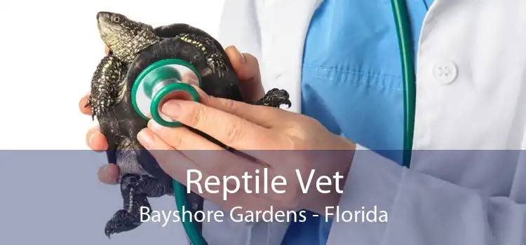 Reptile Vet Bayshore Gardens - Florida