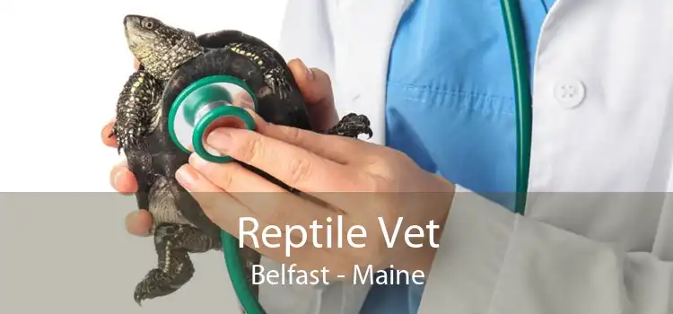 Reptile Vet Belfast - Maine