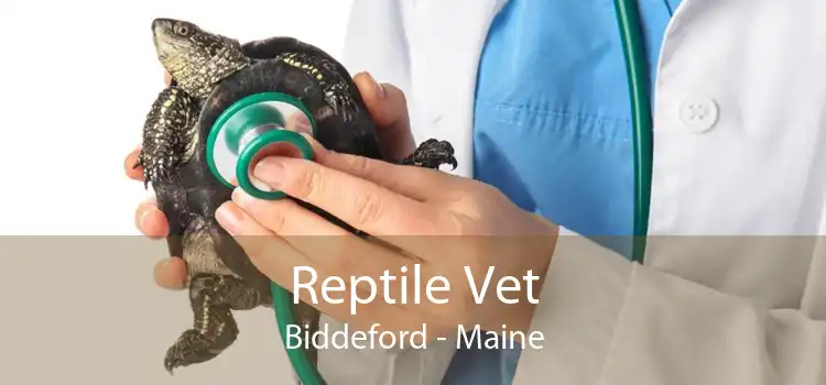 Reptile Vet Biddeford - Maine