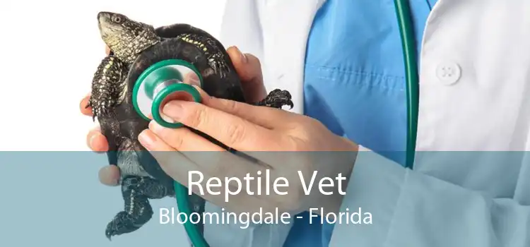 Reptile Vet Bloomingdale - Florida