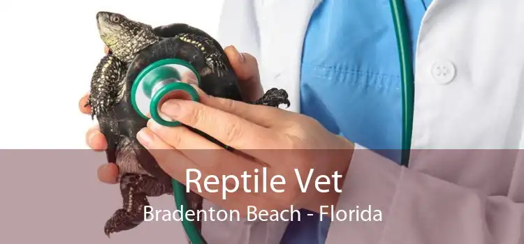 Reptile Vet Bradenton Beach - Florida