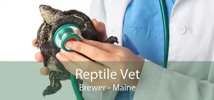 Reptile Vet Brewer - Maine