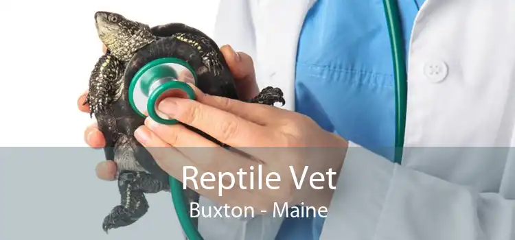 Reptile Vet Buxton - Maine