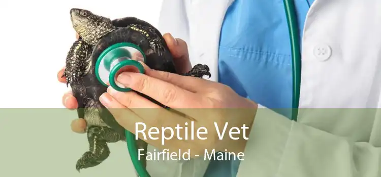 Reptile Vet Fairfield - Maine