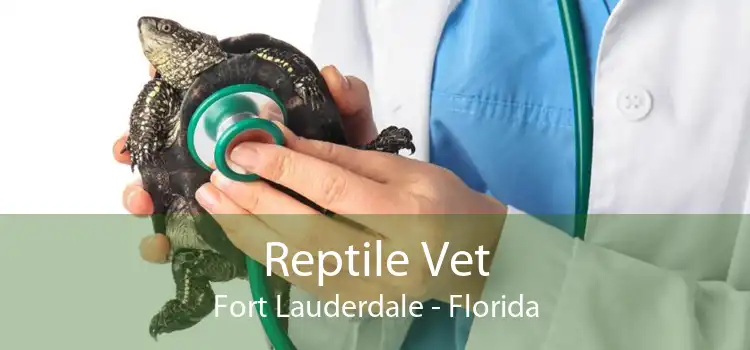 Reptile Vet Fort Lauderdale - Florida