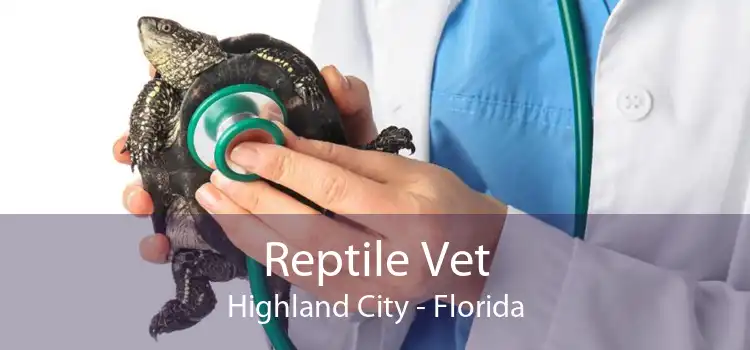Reptile Vet Highland City - Florida