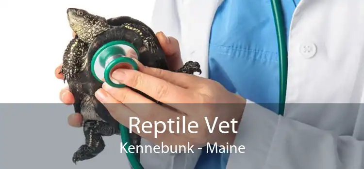 Reptile Vet Kennebunk - Maine