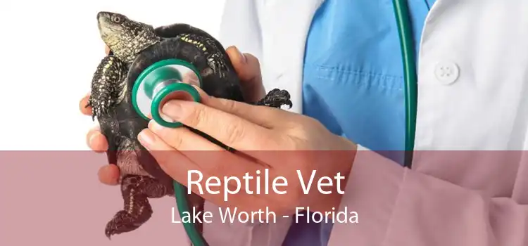 Reptile Vet Lake Worth - Florida