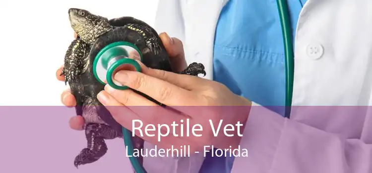 Reptile Vet Lauderhill - Florida