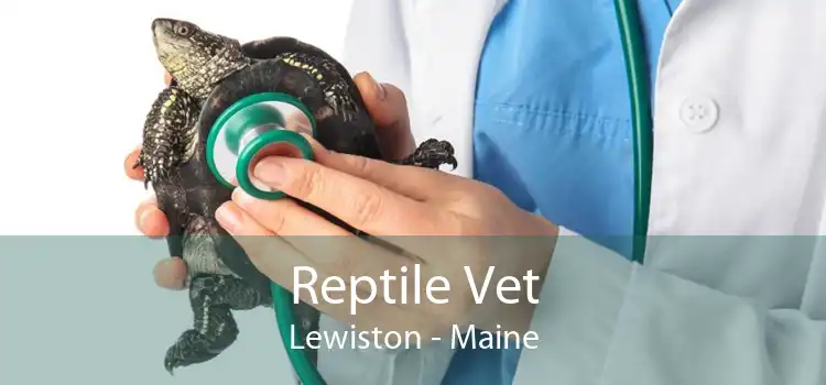 Reptile Vet Lewiston - Maine