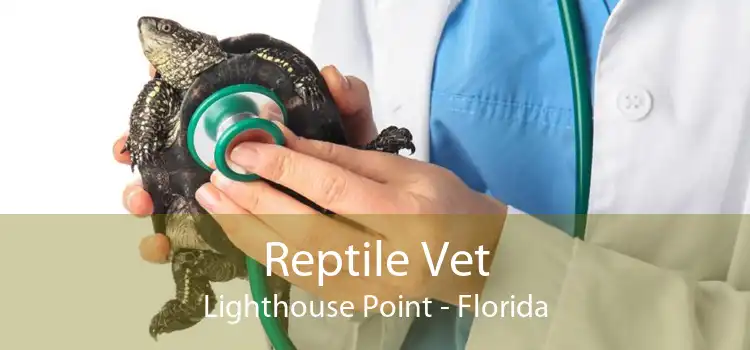 Reptile Vet Lighthouse Point - Florida