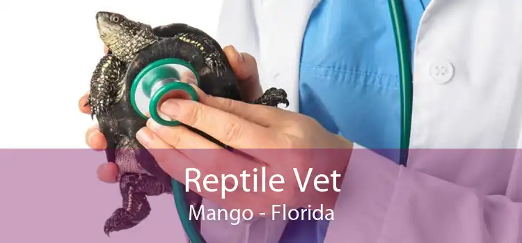 Reptile Vet Mango - Florida