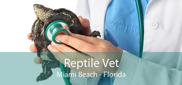 Reptile Vet Miami Beach - Florida
