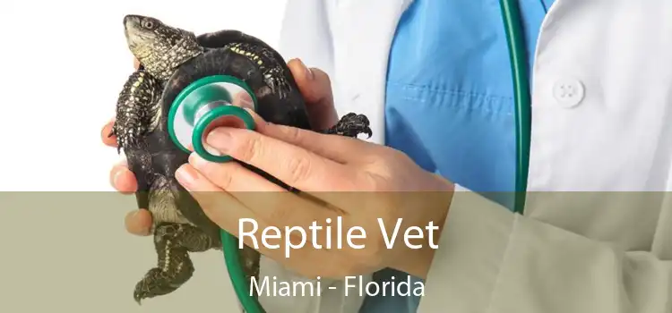 Reptile Vet Miami - Florida