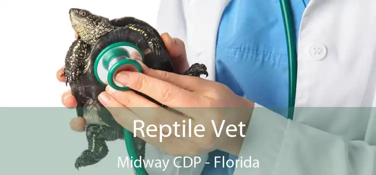 Reptile Vet Midway CDP - Florida