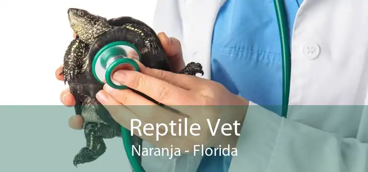 Reptile Vet Naranja - Florida