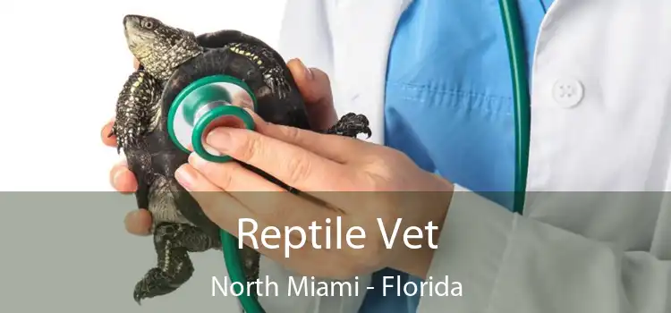 Reptile Vet North Miami - Florida
