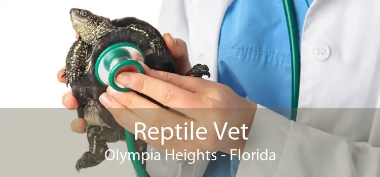 Reptile Vet Olympia Heights - Florida
