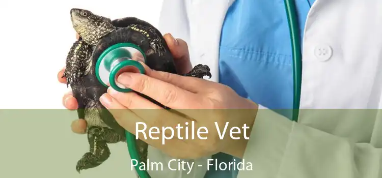 Reptile Vet Palm City - Florida