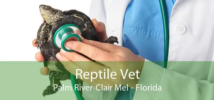 Reptile Vet Palm River-Clair Mel - Florida