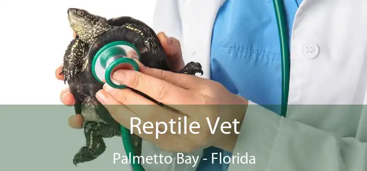 Reptile Vet Palmetto Bay - Florida