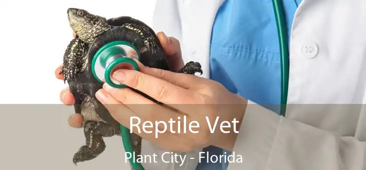 Reptile Vet Plant City - Florida