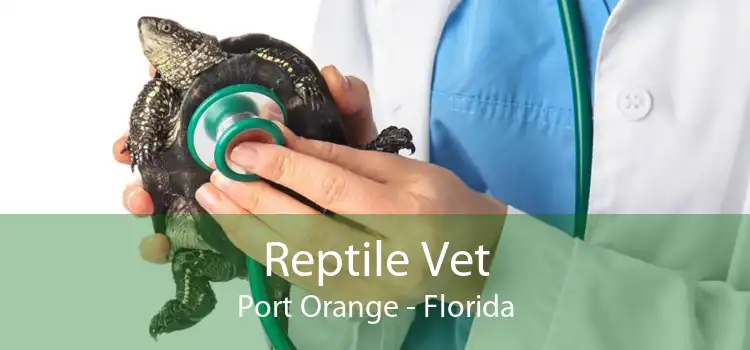 Reptile Vet Port Orange - Florida