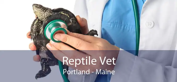Reptile Vet Portland - Maine