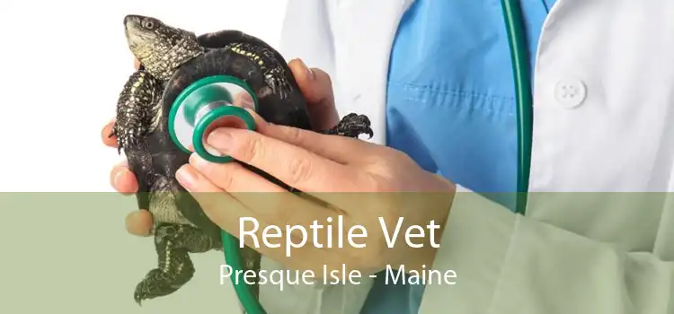 Reptile Vet Presque Isle - Maine