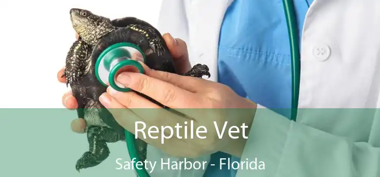 Reptile Vet Safety Harbor - Florida