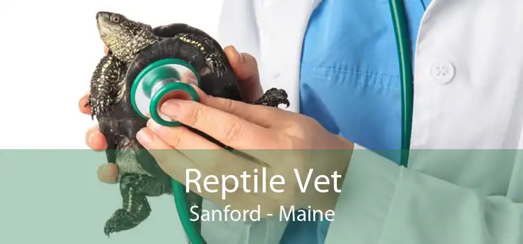 Reptile Vet Sanford - Maine