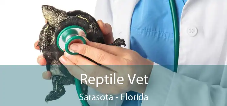 Reptile Vet Sarasota - Florida