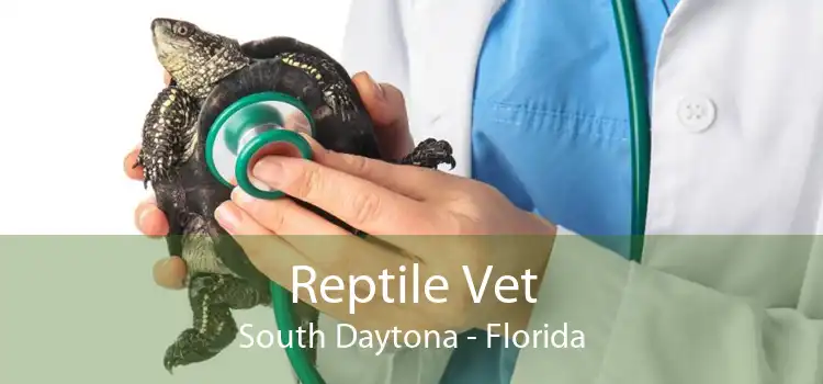 Reptile Vet South Daytona - Florida