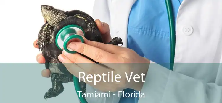 Reptile Vet Tamiami - Florida