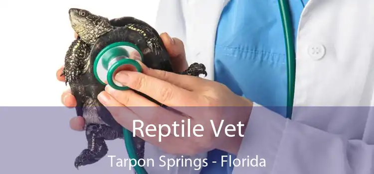 Reptile Vet Tarpon Springs - Florida