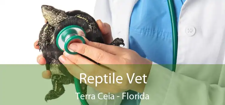Reptile Vet Terra Ceia - Florida