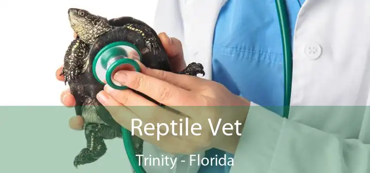 Reptile Vet Trinity - Florida