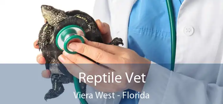 Reptile Vet Viera West - Florida