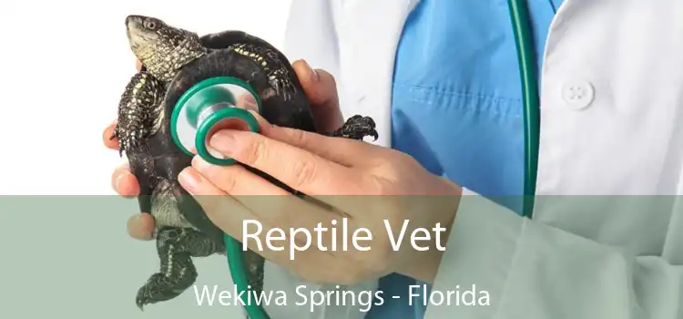 Reptile Vet Wekiwa Springs - Florida