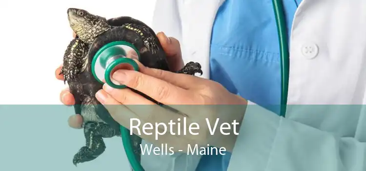 Reptile Vet Wells - Maine
