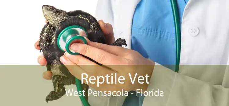 Reptile Vet West Pensacola - Florida