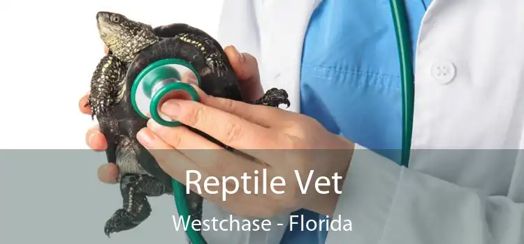 Reptile Vet Westchase - Florida