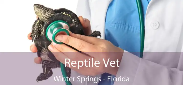 Reptile Vet Winter Springs - Florida