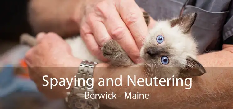 Spaying and Neutering Berwick - Maine